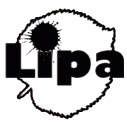 Gazetka szkolna Lipa